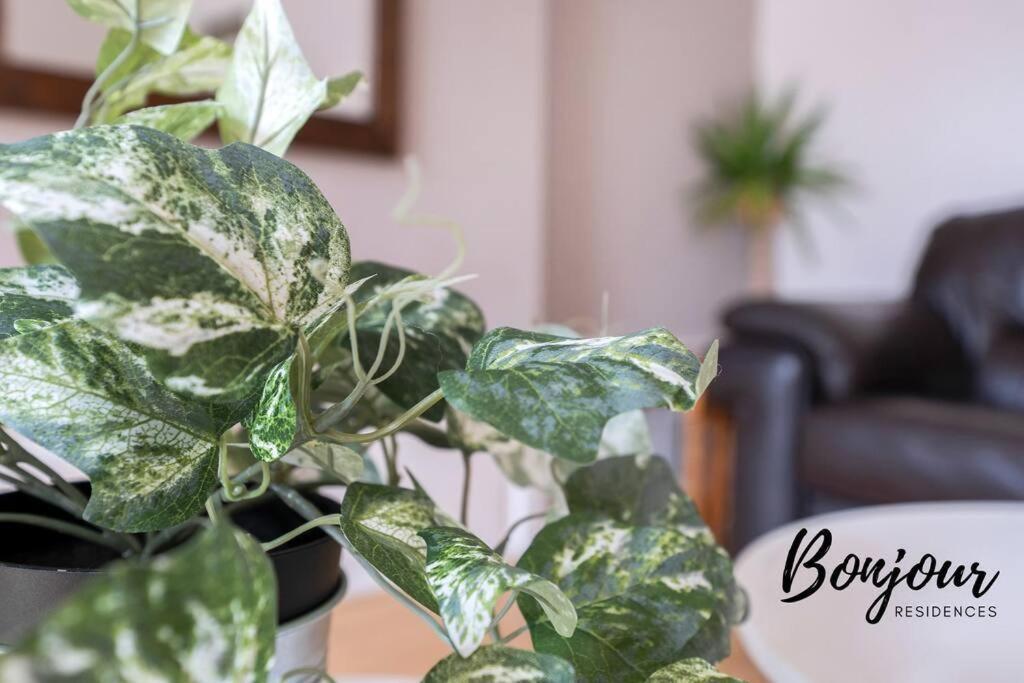 Monge Suite Old Town 2Br-1Ba, Near Royal Mile By Bonjour Residences Edinburgh Buitenkant foto